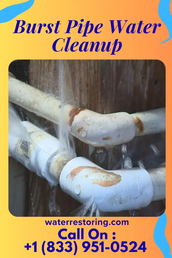 Burst Pipe Water Cleanup in West DeLand, FL