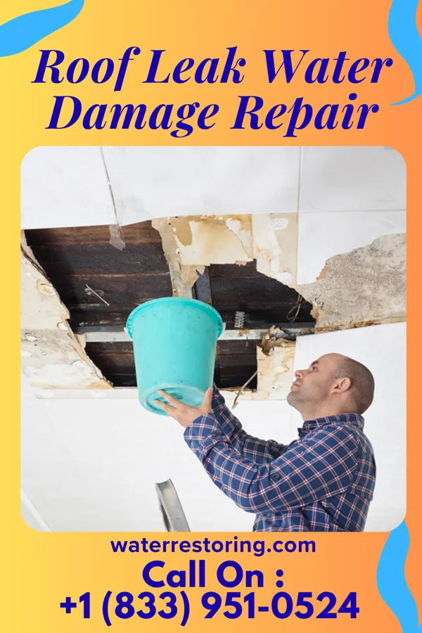 Roof Leak Water Damage Repair in West DeLand, FL